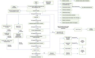 Frontiers | Management Of Severe Traumatic Brain Injury In Pediatric ...